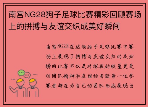 南宫NG28狗子足球比赛精彩回顾赛场上的拼搏与友谊交织成美好瞬间